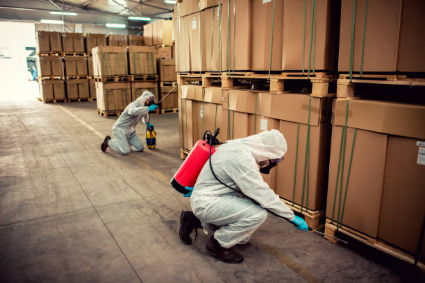 Best Ant Control Services  in Mila Doce, TX