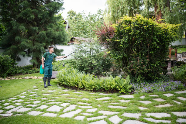 Pest Control Cost in Mila Doce, TX