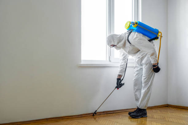Best Pest Inspection Near Me  in Mila Doce, TX