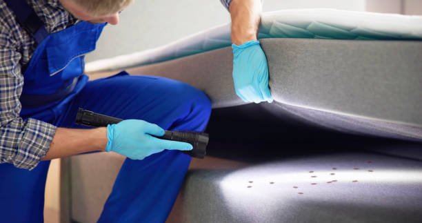 Reliable Mila Doce, TX Pest Control Solutions