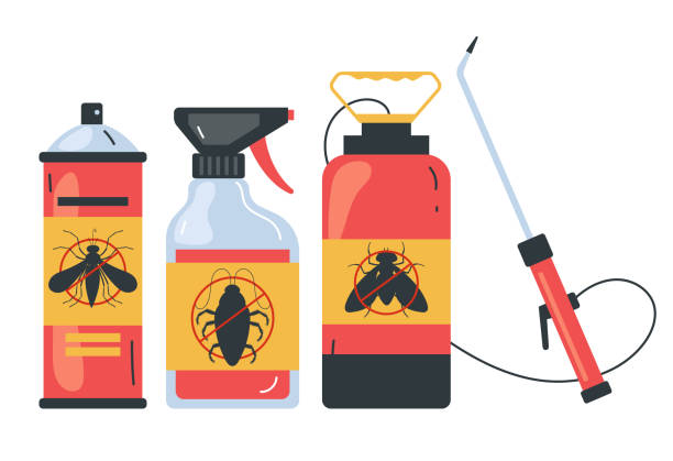 Best Pest Control Near Me  in Mila Doce, TX